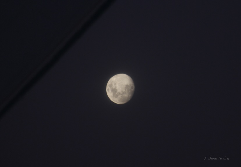 moon